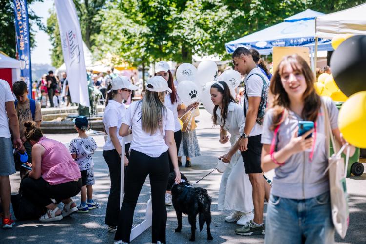 zavrsen-treci-festival-pasa-svih-rasa-ulicni-psi-4